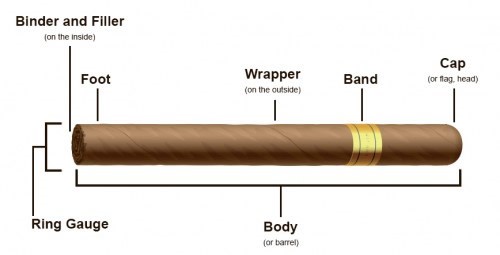 cigar knowledge
