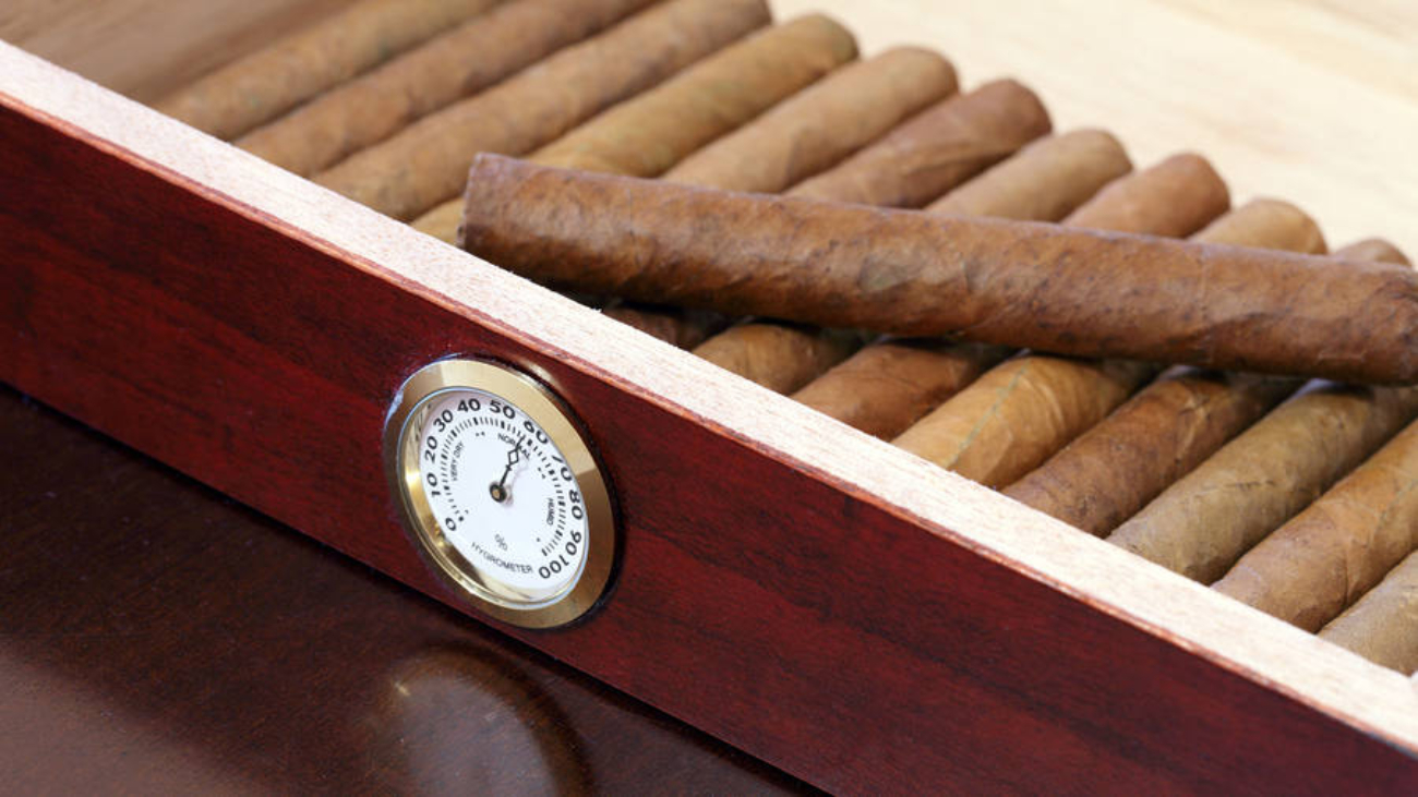 Fine Cuban cigars in a wooden humidor