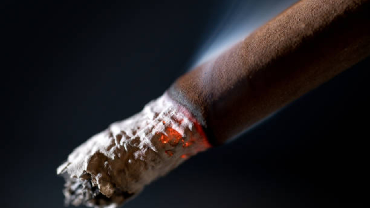 Burning brown cigar with smoke extremal close up. On abstract black background